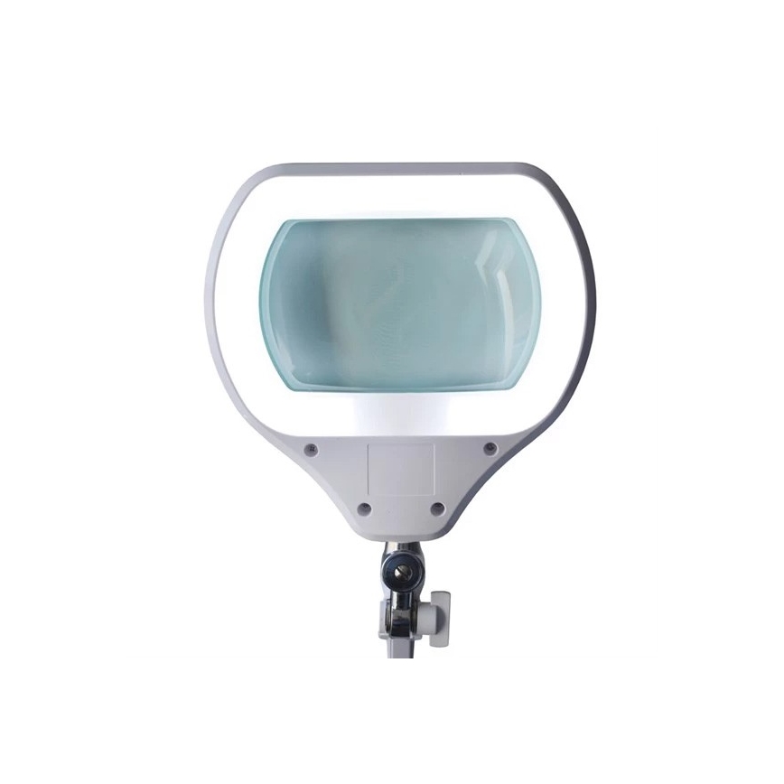 LED Hämardatav laualamp luubiga LED/12W/230V valge