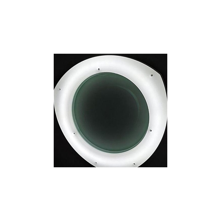 LED Hämardatav laualamp suurendaja ja kinnitusklambriga LED/8W/12/230V