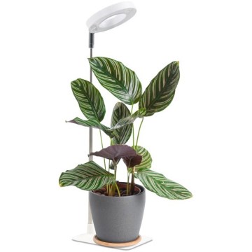 LED hämardatav laualamp taimede kasvatamiseks VERDI LED/5W/5V 1300K CRI 95 valge