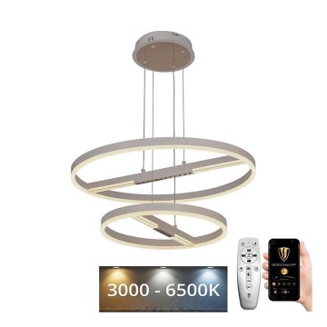 LED Hämardatav lühter LED/100W/230V 3000-6500K + kaugjuhtimispult