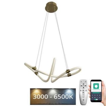 LED Hämardatav lühter LED/25W/230V 3000-6500K + kaugjuhtimispult