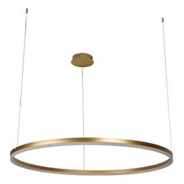 LED Hämardatav lühter LED/55W/230V 3000-6500K + kaugjuhtimispult