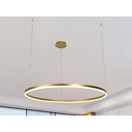 LED Hämardatav lühter LED/55W/230V 3000-6500K d. 80 cm + kaugjuhtimispult