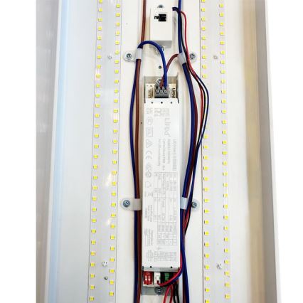 LED Hämardatav luminofoor hele LED/35W/44W/52W/60W/230V 4000K 120 cm