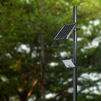 LED Hämardatav päikesepaneeliga prožektor anduriga LED/10W/3,7V 4000/6000K IP65 + kaugjuhtimispult