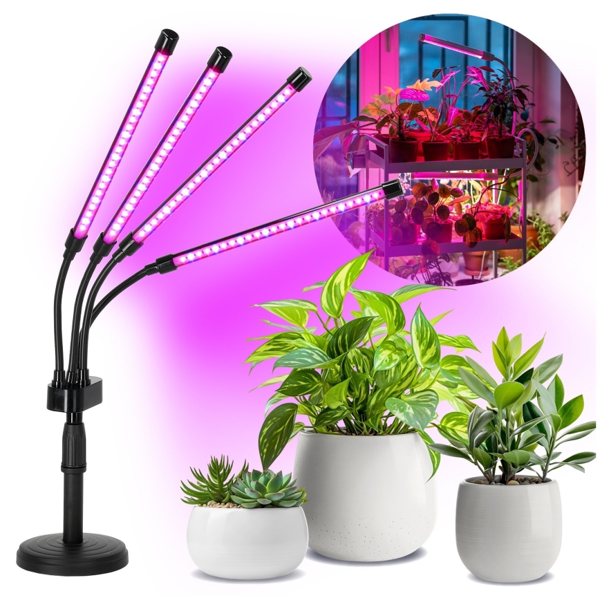 LED Hämardatav paindlik laualamp taimede kasvatamiseks VITARO 4xLED/10W/230V must