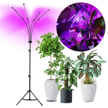 LED Hämardatav paindlik põrandalamp taimede kasvatamiseks VITARO 4xLED/7,5W/230V must