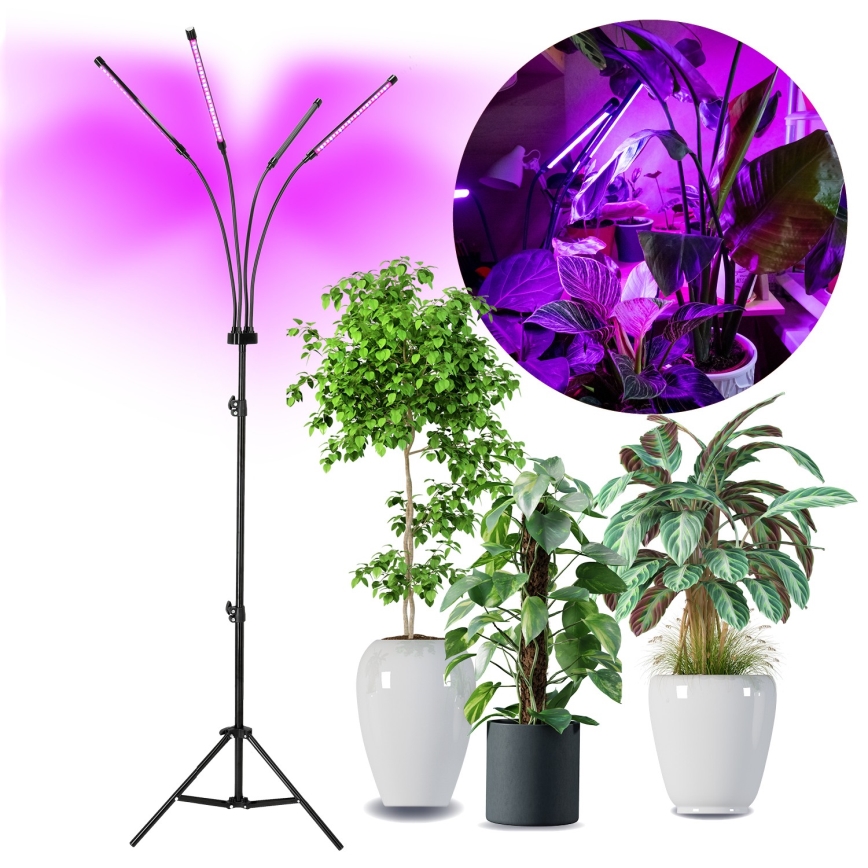LED Hämardatav paindlik põrandalamp taimede kasvatamiseks VITARO 4xLED/7,5W/230V must