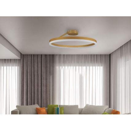 LED Hämardatav pinnale kinnitatav lühter LED/40W/230V 3000-6500K kuldne + kaugjuhtimispult