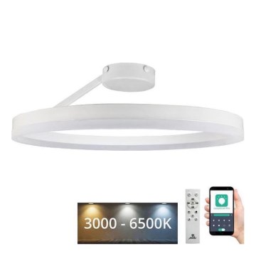 LED Hämardatav pinnale kinnitatav lühter LED/40W/230V 3000-6500K valge + kaugjuhtimispult