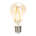 LED Hämardatav pirn FILAMENT A60 E27/6W/230V 2200K - Aigostar