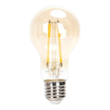 LED Hämardatav pirn FILAMENT A60 E27/6W/230V 2200K - Aigostar