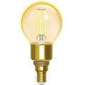LED Hämardatav pirn FILAMENT G45 E14/4,5W/230V 2700-6500K Wi-Fi - Aigostar