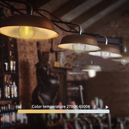 LED Hämardatav pirn FILAMENT G45 E27/4,5W/230V 2700-6500K Wi-Fi - Aigostar