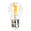 LED Hämardatav pirn FILAMENT G45 E27/4W/230V 2200K - Aigostar