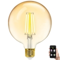 LED Hämardatav pirn FILAMENT MESH Nutikas G125 E27/6W/230V 2700-6500K - Aigostar