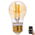 LED Hämardatav pirn FILAMENT MESH Nutikas G45 E27/4,5W/230V 2700-6500K - Aigostar