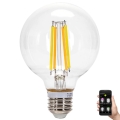 LED Hämardatav pirn FILAMENT MESH Nutikas G80 E27/6W/230V 2700-6500K - Aigostar