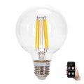 LED Hämardatav pirn FILAMENT MESH Nutikas G95 E27/6W/230V 2700-6500K - Aigostar