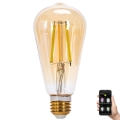 LED Hämardatav pirn FILAMENT MESH Nutikas ST64 E27/6W/230V 2700-6500K - Aigostar
