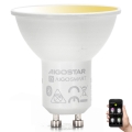 LED Hämardatav pirn GU10/6,5W/230V 2700-6500K - Aigostar