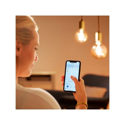 LED Hämardatav pirn VINTAGE FILAMENT G95 E27/6,7W/230V 2000-5000K CRI 90 Wi-Fi - WiZ