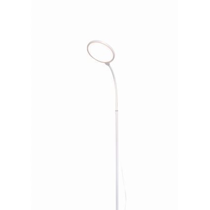 LED Hämardatav põrandalamp 2in1 LED/10W/230V valge