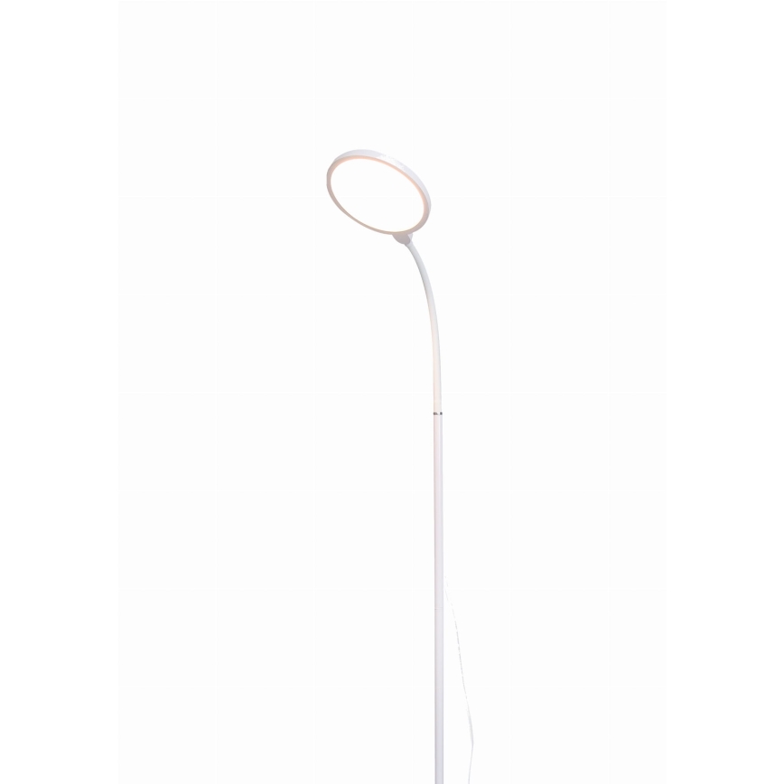 LED Hämardatav põrandalamp 2in1 LED/10W/230V valge