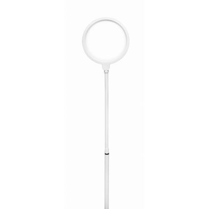 LED Hämardatav põrandalamp 2in1 LED/10W/230V valge