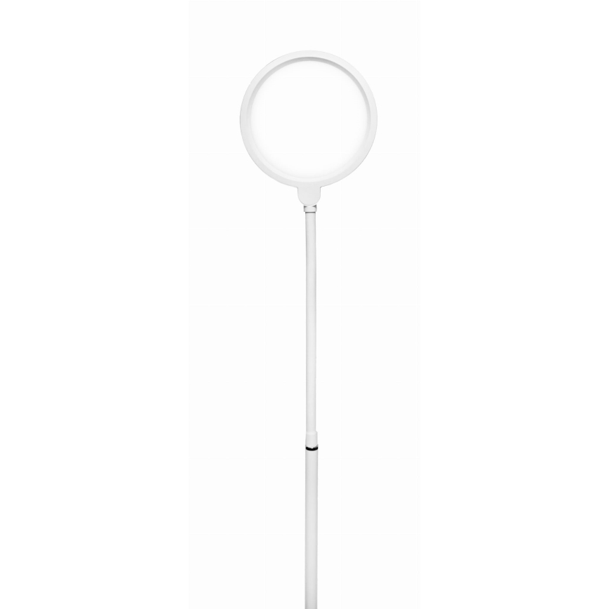 LED Hämardatav põrandalamp 2in1 LED/10W/230V valge