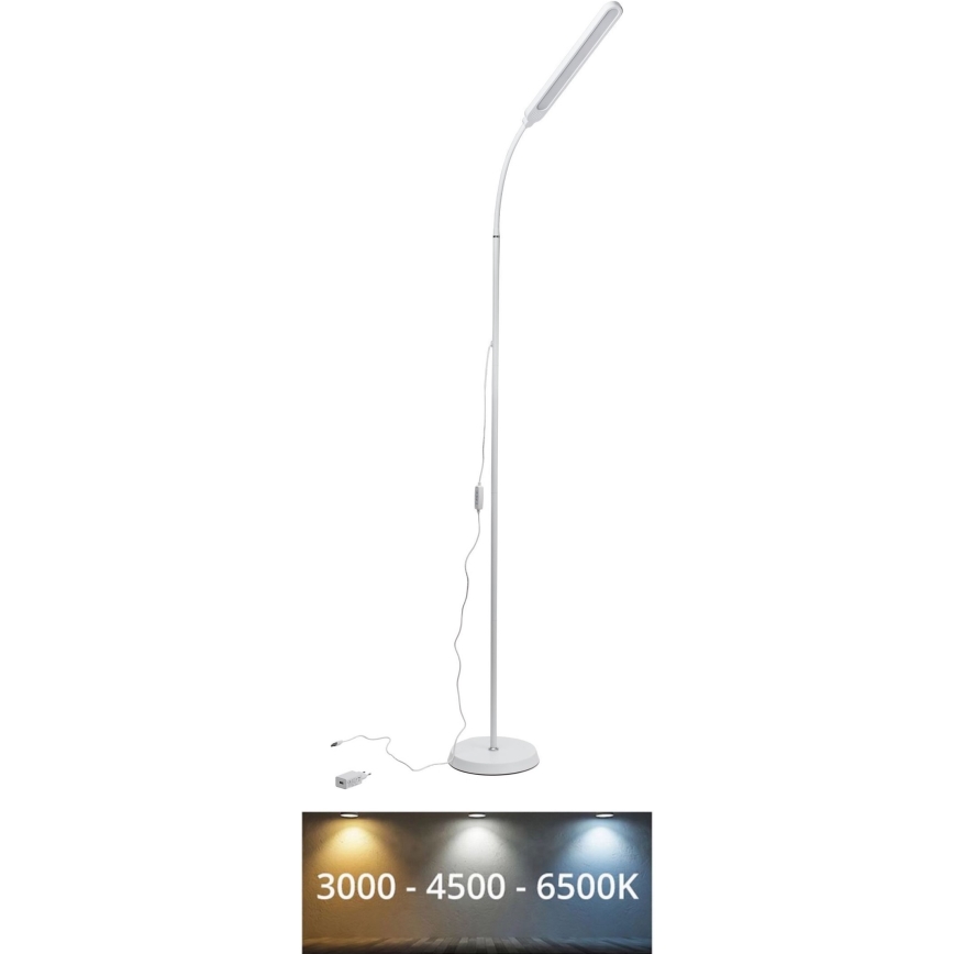LED Hämardatav põrandalamp SIGNUS LED/10W/230V 3000/4500/6500K valge