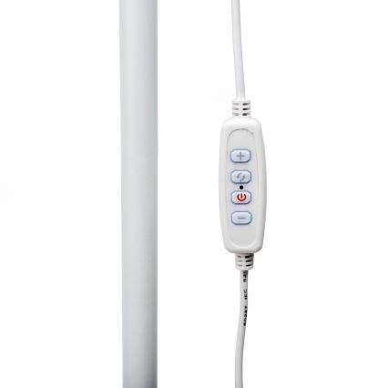 LED Hämardatav põrandalamp SIGNUS LED/10W/230V 3000/4500/6500K valge