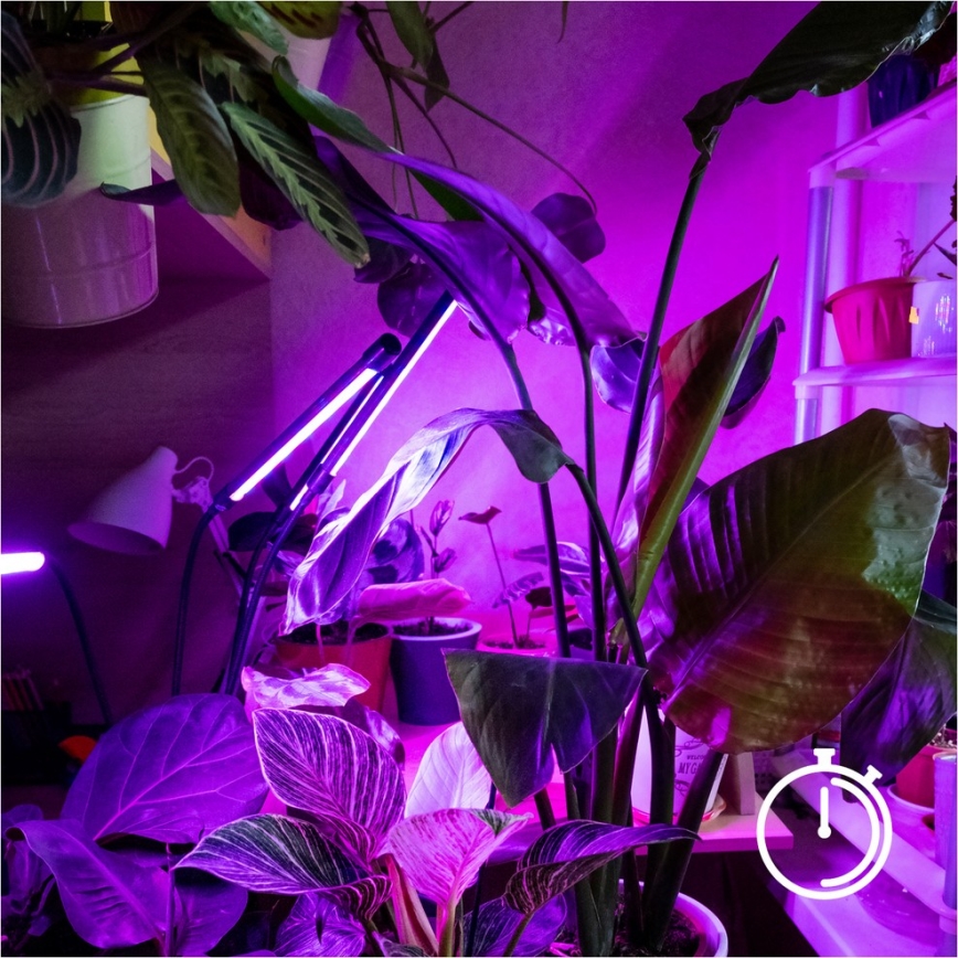 LED Hämardatav paindlik põrandalamp taimede kasvatamiseks VITARO 4xLED/7,5W/230V must