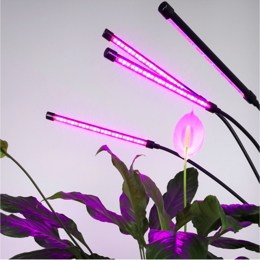 LED Hämardatav paindlik põrandalamp taimede kasvatamiseks VITARO 4xLED/7,5W/230V must