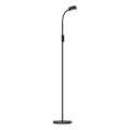 LED Hämardatav puutetundlik põrandalamp BRUNO LED/3W/230V 3000/4000/6500K must