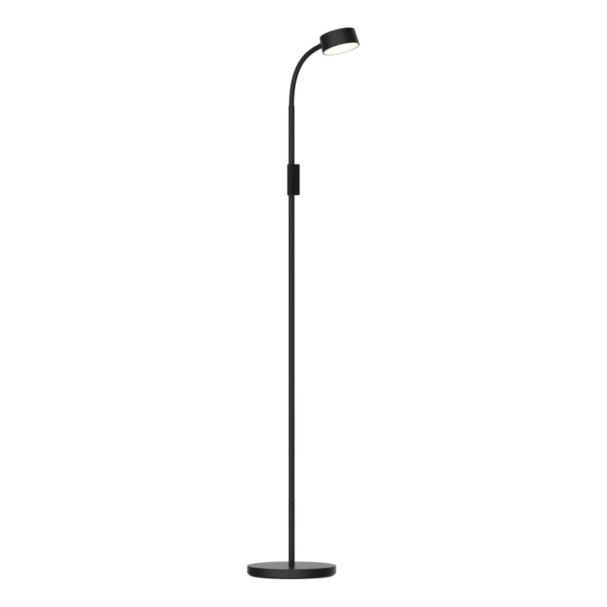 LED Hämardatav puutetundlik põrandalamp BRUNO LED/3W/230V 3000/4000/6500K must