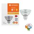 LED Hämardatav reflektoripirn MR16 GU5,3/6,6W/12V 3000K 36° CRI 97 - Ledvance