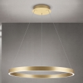 LED-hämardatav rippvalgusti kaablil KOLK, LED/80W/230V, 2700/3000/4000K, läbimõõt 80 cm, kuldne