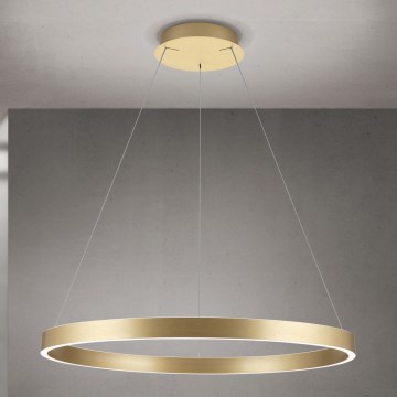 LED-hämardatav rippvalgusti kaablil KOLK, LED/80W/230V, 2700/3000/4000K, läbimõõt 80 cm, kuldne