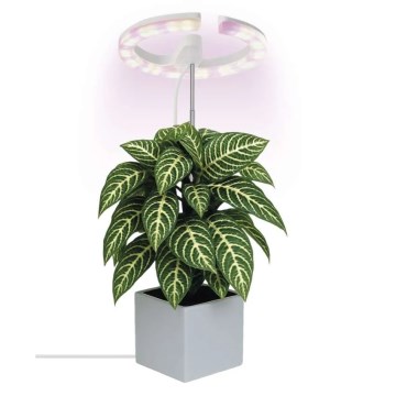 LED-hämardatav siseruumide taimekasvatuslamp GROW LED/8W/5V