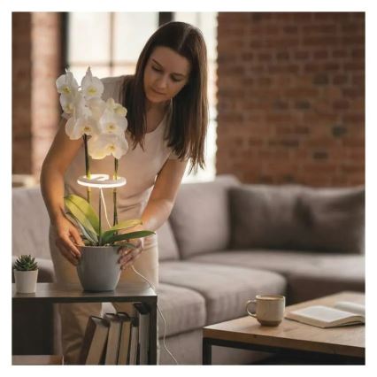 LED-hämardatav siseruumide taimekasvatuslamp GROW LED/8W/5V