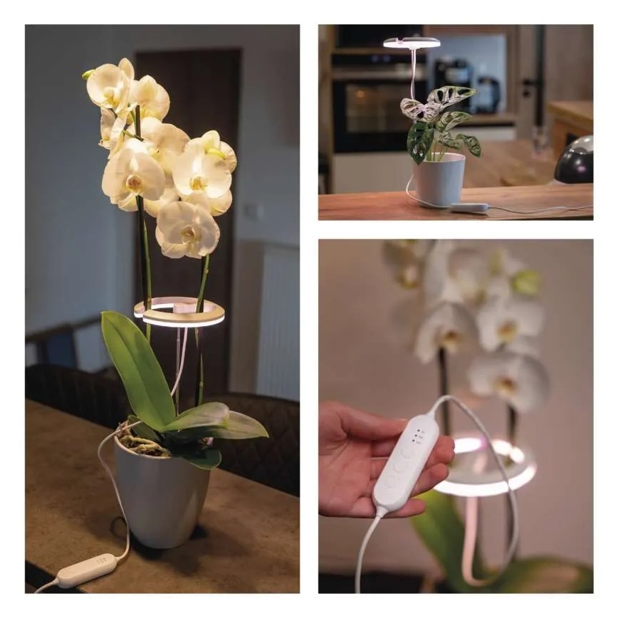 LED-hämardatav siseruumide taimekasvatuslamp GROW LED/8W/5V