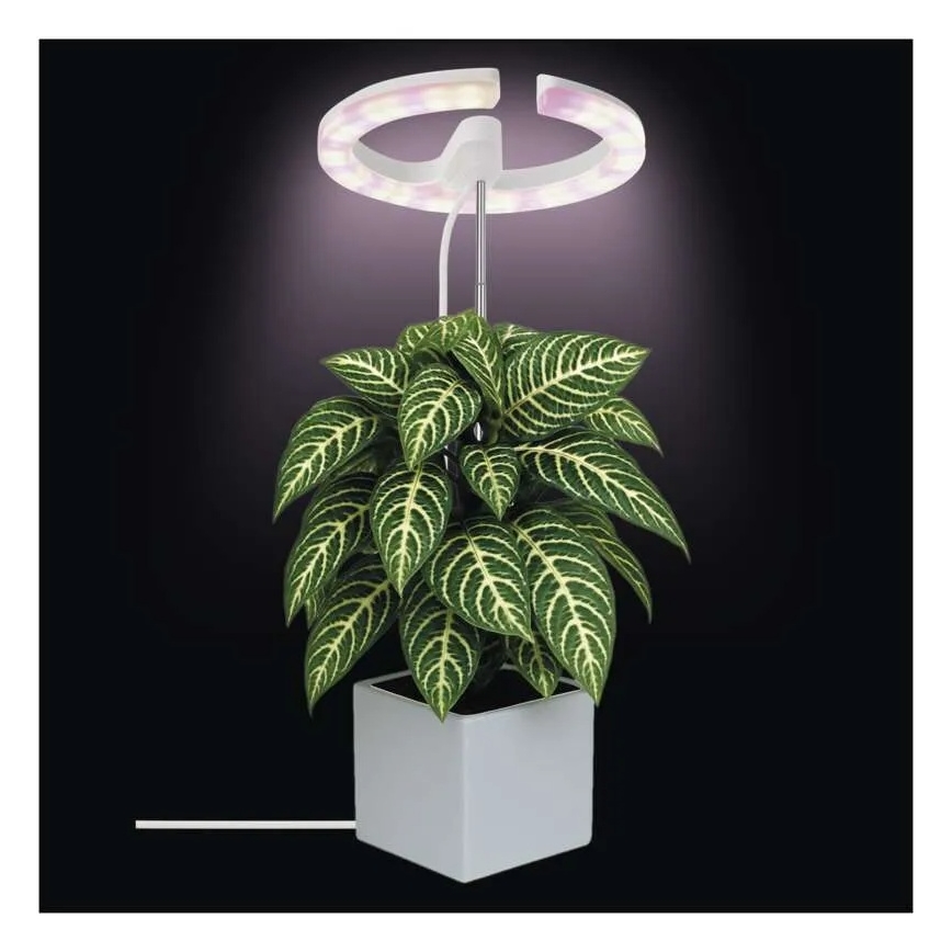 LED-hämardatav siseruumide taimekasvatuslamp GROW LED/8W/5V