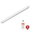 LED Hämardatav tööstuslik valgusti LED/40W/230V 3000-6500K Wi-Fi Tuya IP65