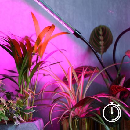 LED Hämardatav paindlik laualamp klambriga taimede kasvatamiseks VITARO 4xLED/10W/230V must