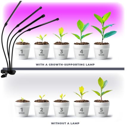 LED Hämardatav paindlik laualamp klambriga taimede kasvatamiseks VITARO 4xLED/10W/230V must