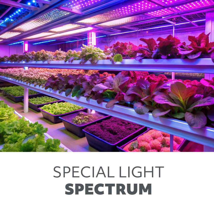 LED Hämardatav paindlik laualamp klambriga taimede kasvatamiseks VITARO 4xLED/10W/230V must