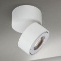 LED Hämardatav vannituba Kohtvalgusti HARVEY LED/15W/230V IP65 valge