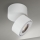 LED Hämardatav vannituba Kohtvalgusti HARVEY LED/15W/230V IP65 valge