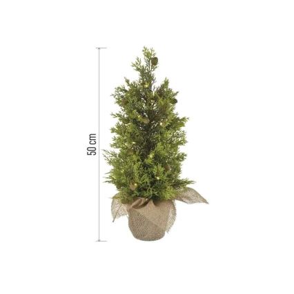 LED jõulukaunistus 30xLED/3xAA IP44